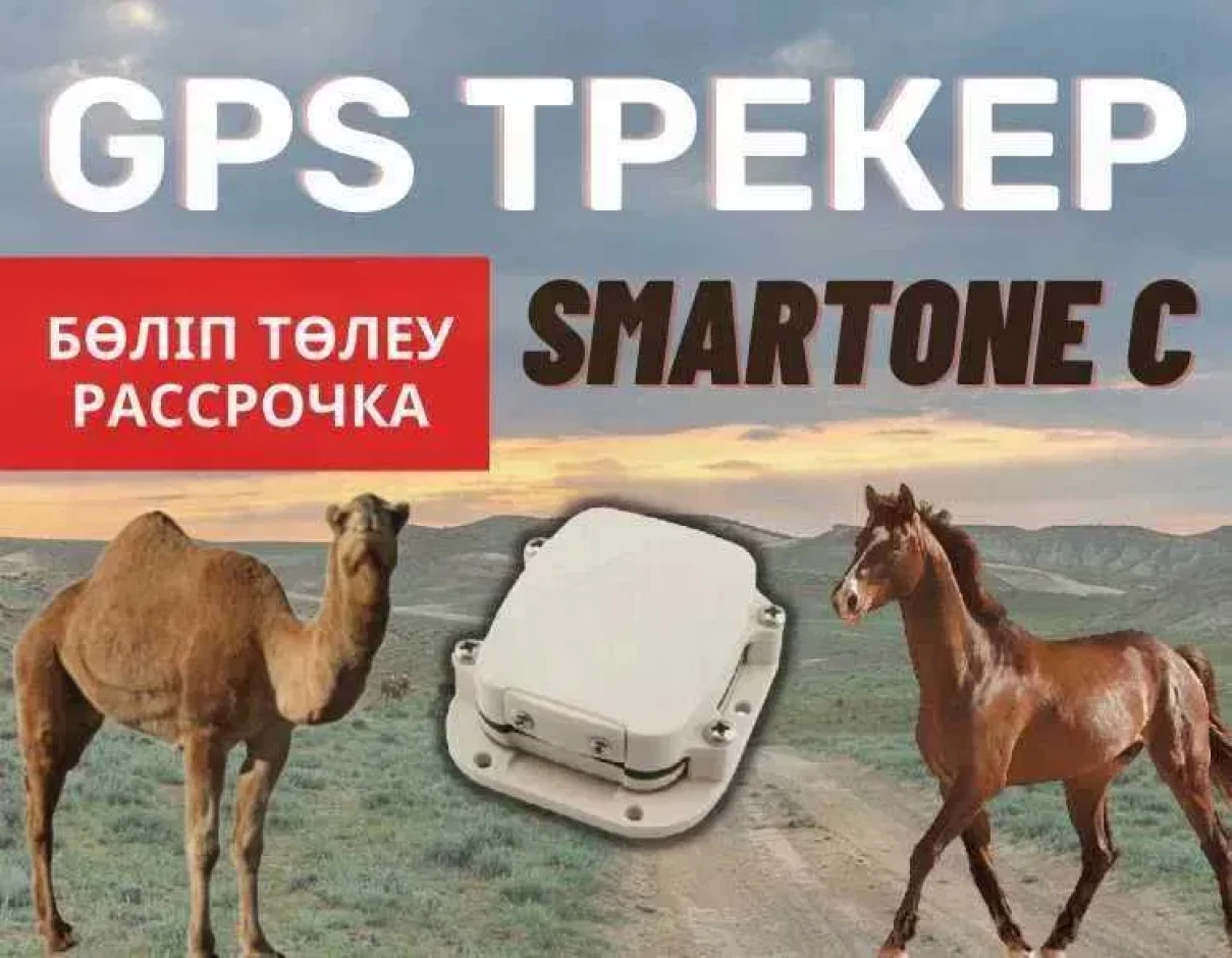 Оборудование для животных - 3 Оборудование для животных #3