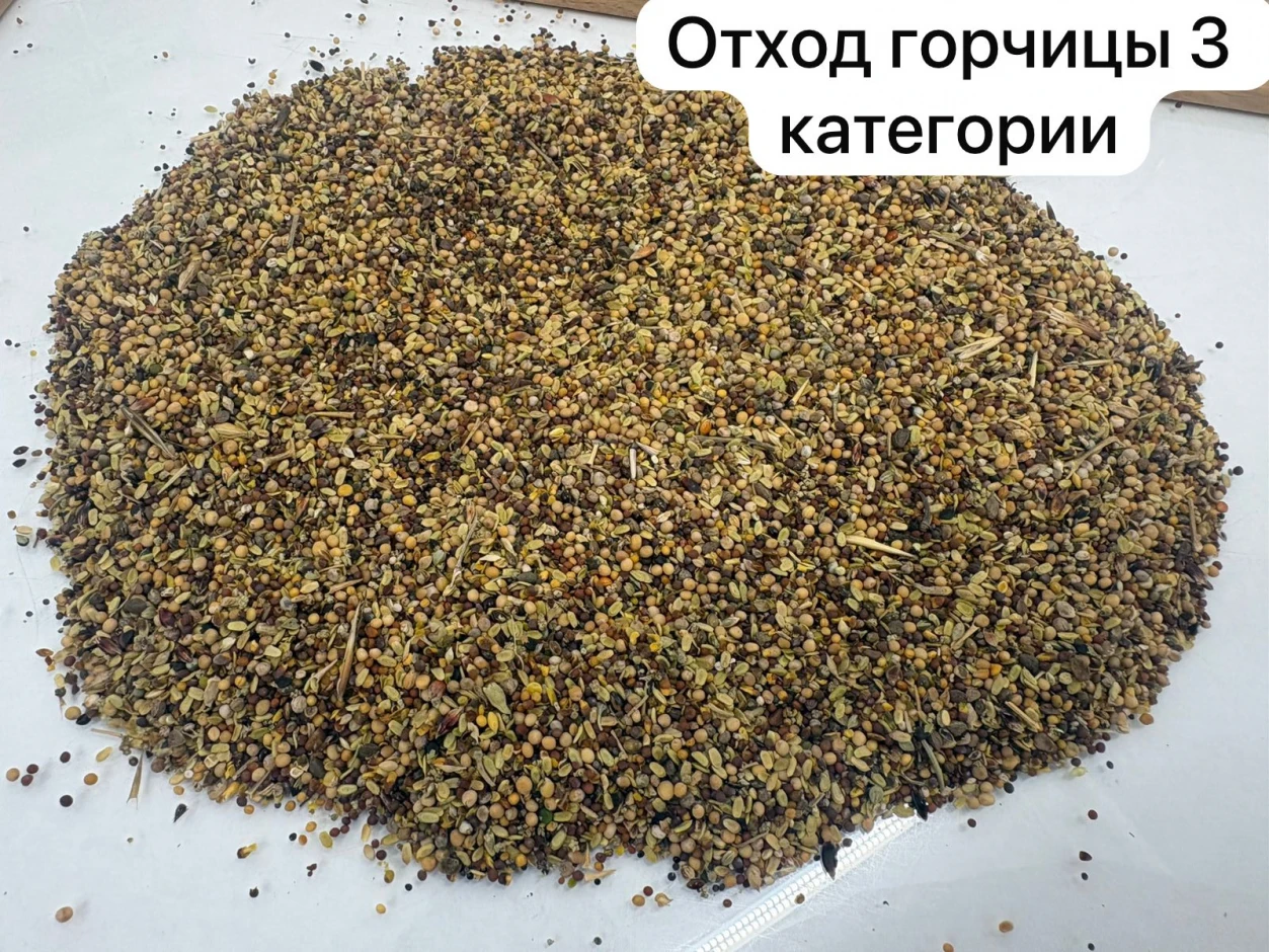 ПРОДАЕМ ОТХОДЫ ЧЕЧЕВИЦЫ И ГОРЧИЦЫ #4