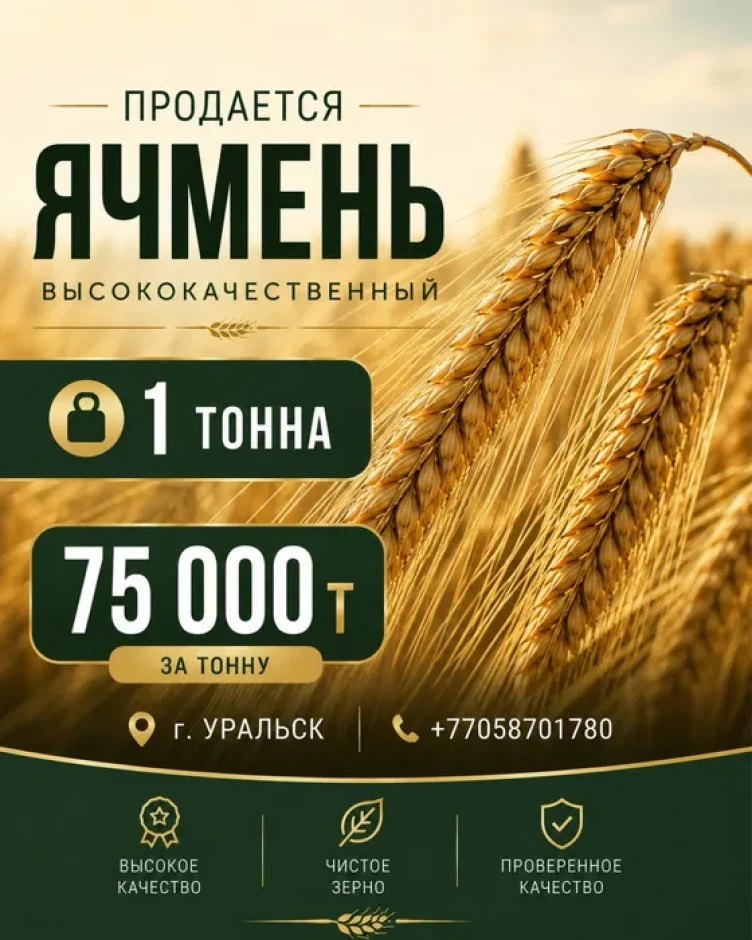 Продается высококачественный Ячмень #1