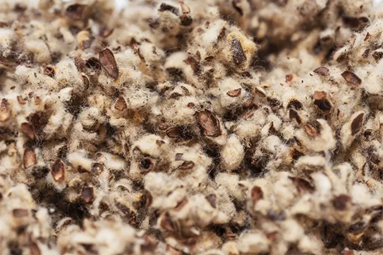 Cotton husks, Cotton husks, feed, grass, feed. #1