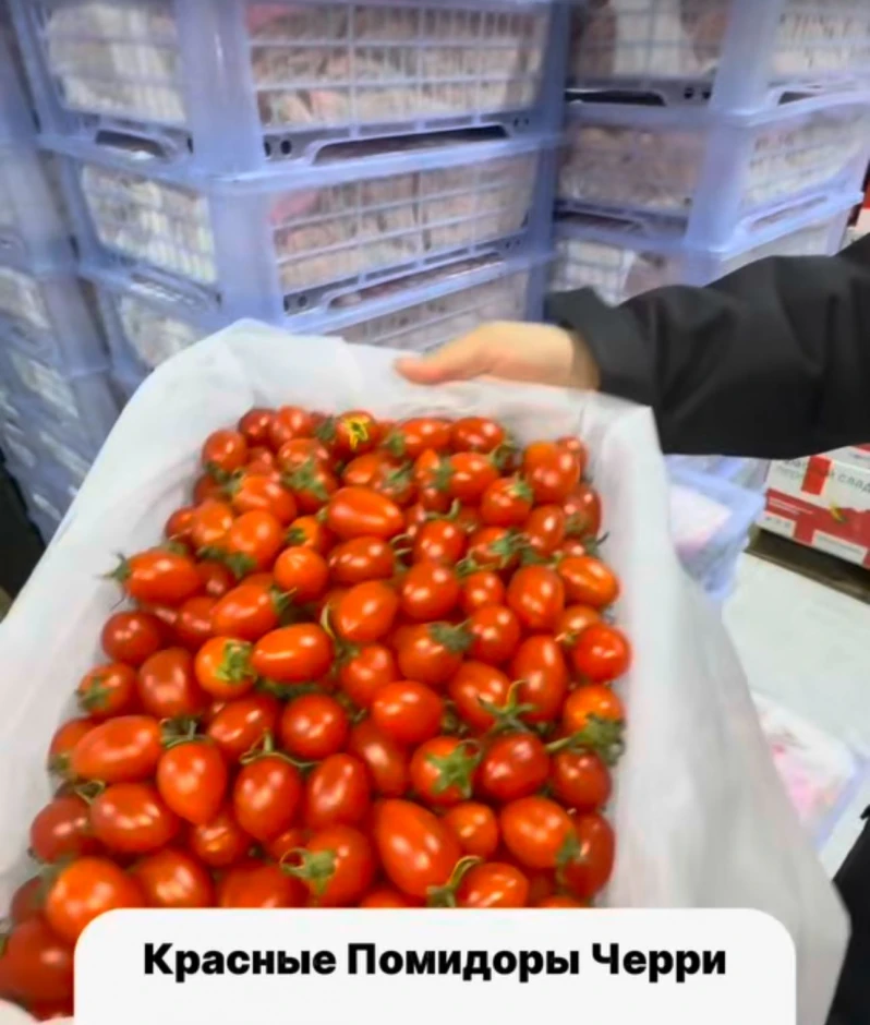Помидоры Черри куплю #1