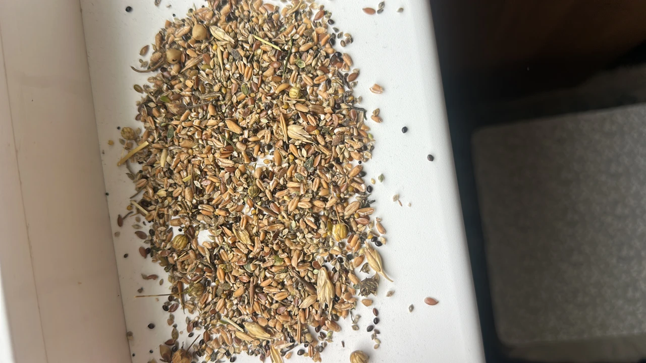 Grain waste. #3