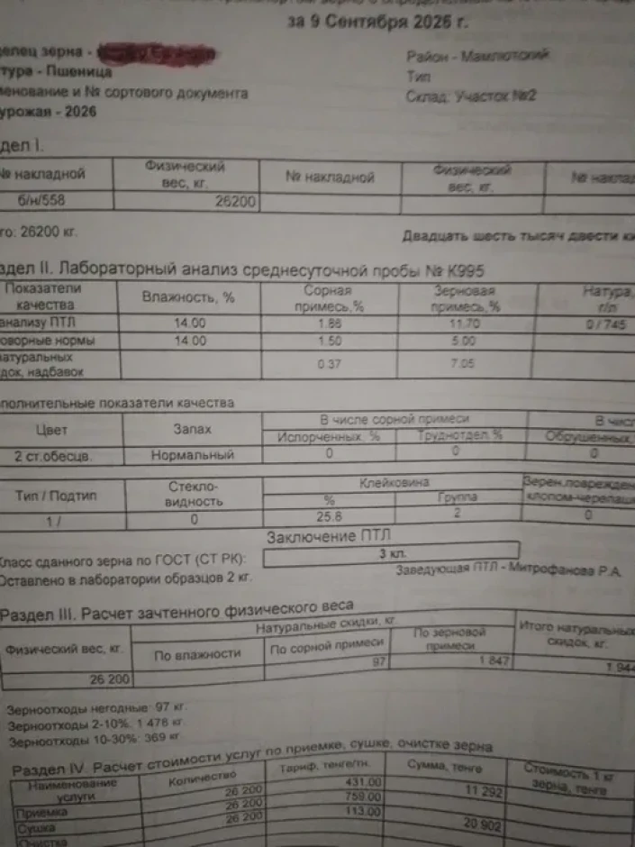 Продам пшеницу, урожай 2026 года - 1 Продам пшеницу, урожай 2026 года #1