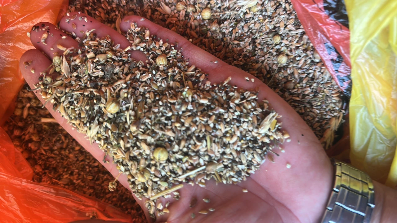 Grain waste. #2