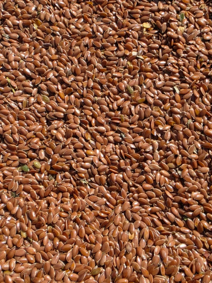 MOx Trade Co. LLP. - 2 MOx Trade Co. LLP. #2