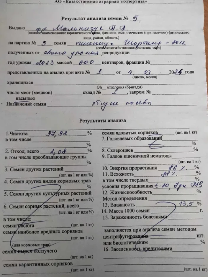 Пшеница на семена - 1 Пшеница на семена #1