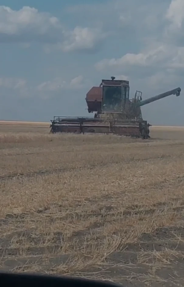 An operating farm is for sale in the Kostanay region. #2