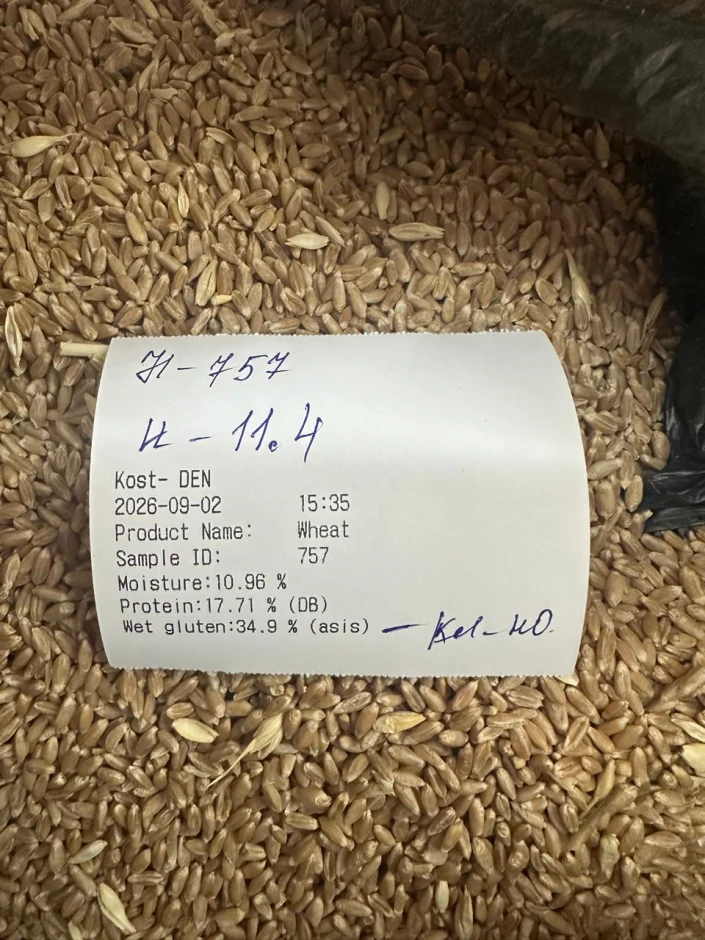 продажа пшеницы #2
