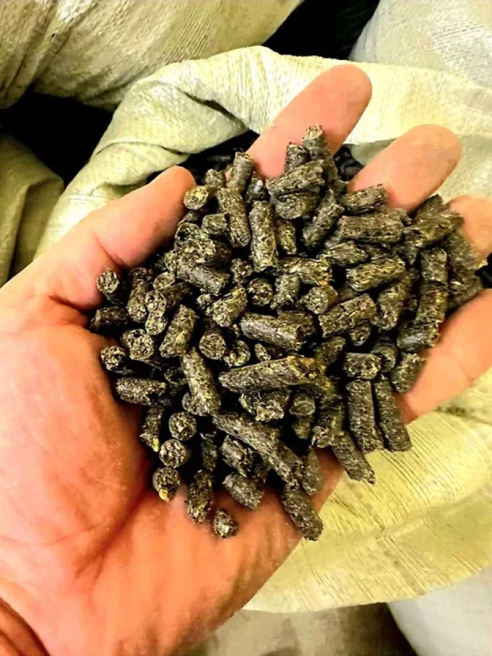 Compound feed #6