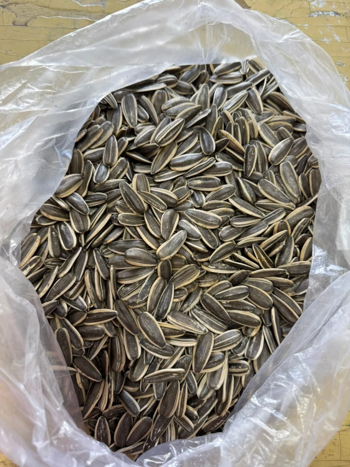 Продам Полосатый подсолнечник #1