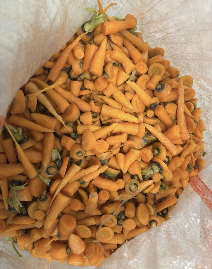 Сортовая морковь #3