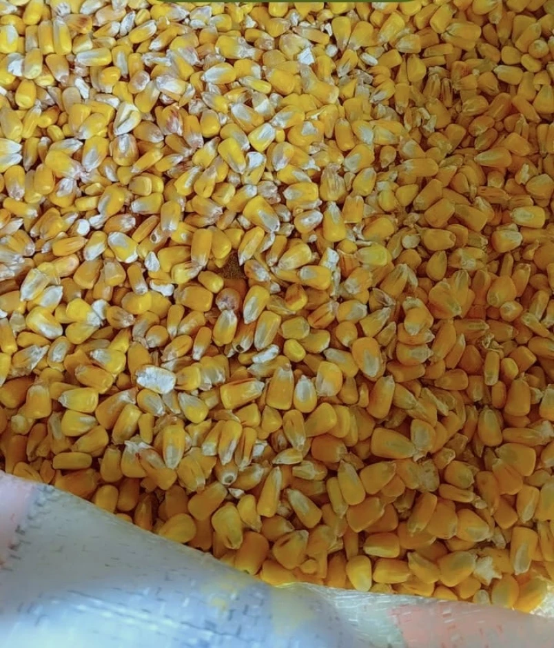 Птичий Двор - 2 Птичий Двор #2