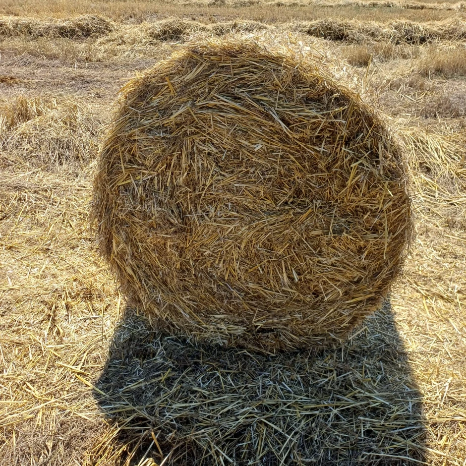 I will sell wheat straw. #2