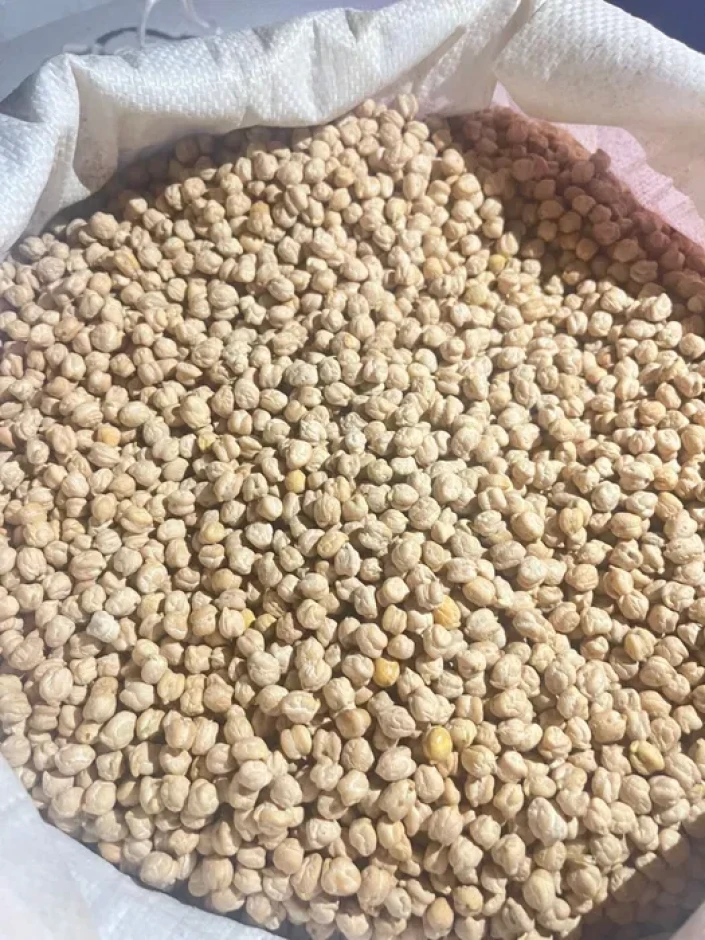 турецкий горох (нут) местный қапталған, таза, сорты гибрид - 3 турецкий горох (нут) местный қапталған, таза, сорты гибрид #3