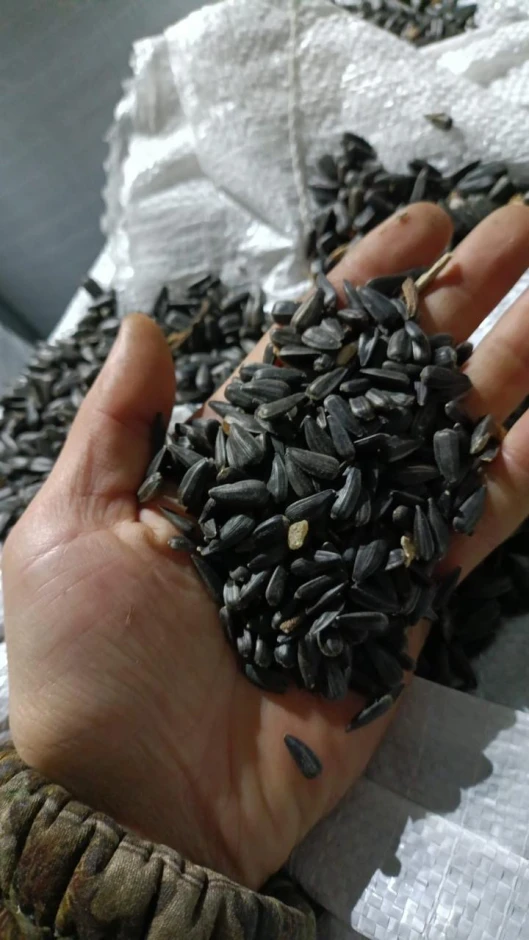 Sunflower seeds. #1