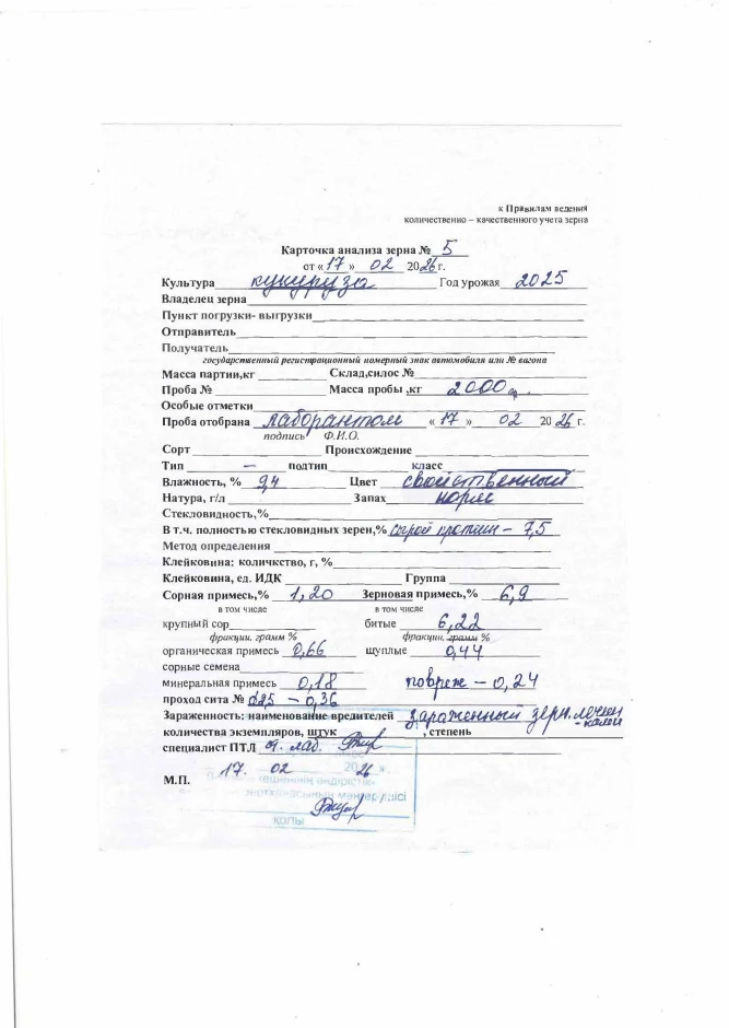 Продаётся кукуруза #1