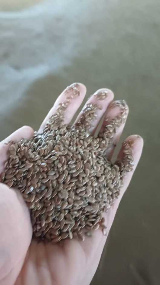 MOx Trade Co. LLP. - 3 MOx Trade Co. LLP. #3