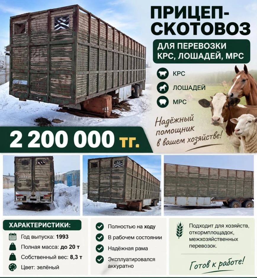 Cattle truck. #1