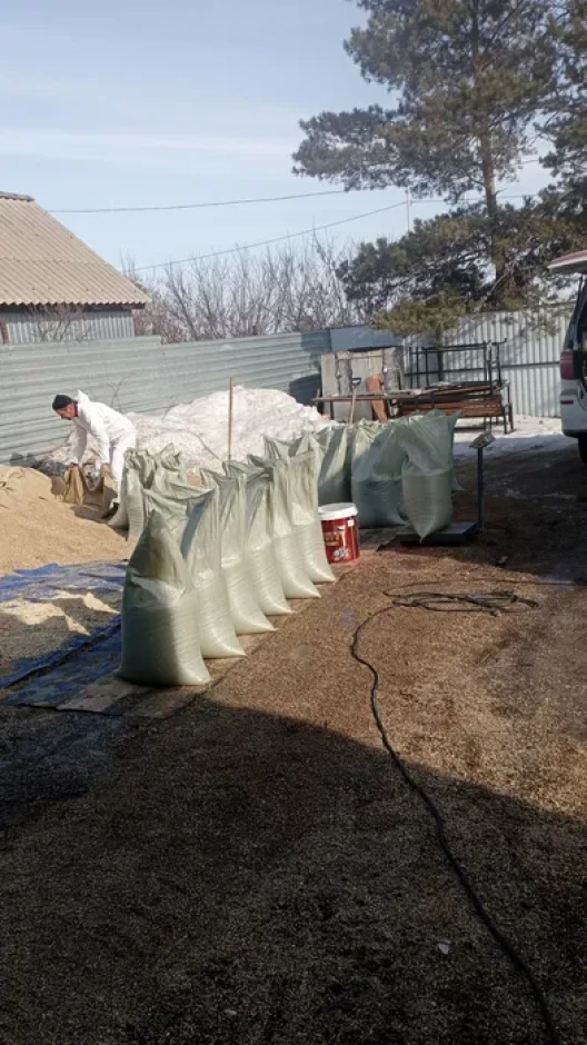 Grain waste: wheat, buckwheat. #3