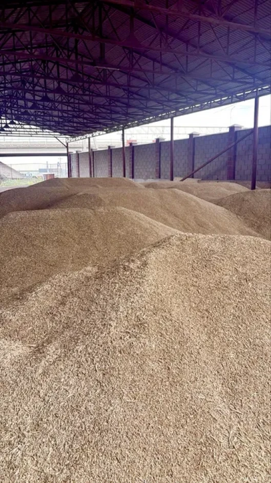 I sell barley, Arpa. #2