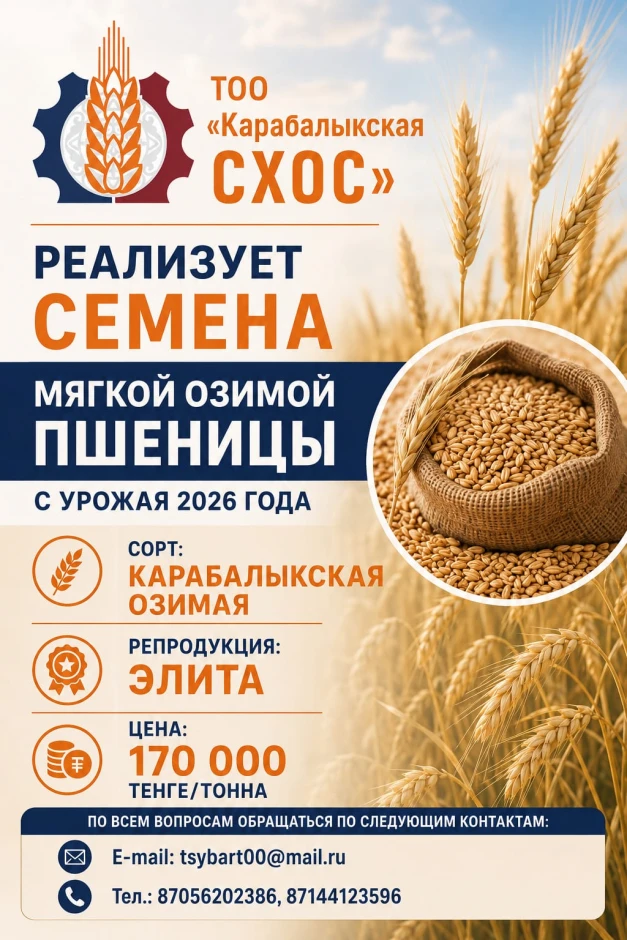 ТОО "Карабалыкская СХОС" реализует семена мягкой озимой пшеницы #1