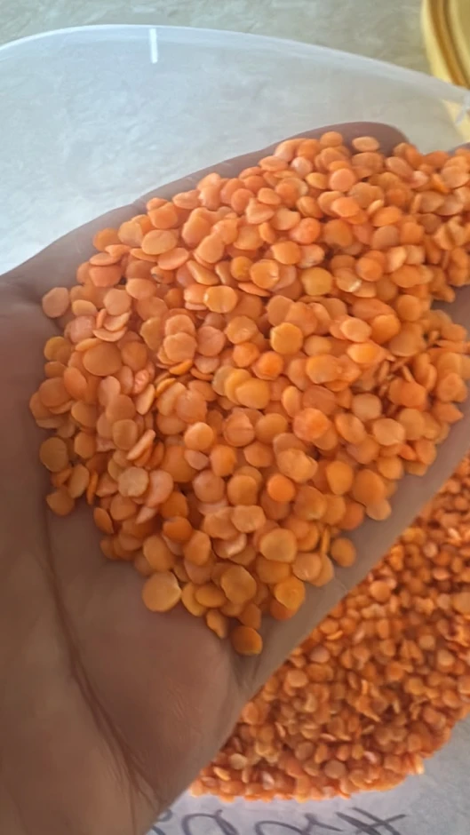 red lentils football. #1