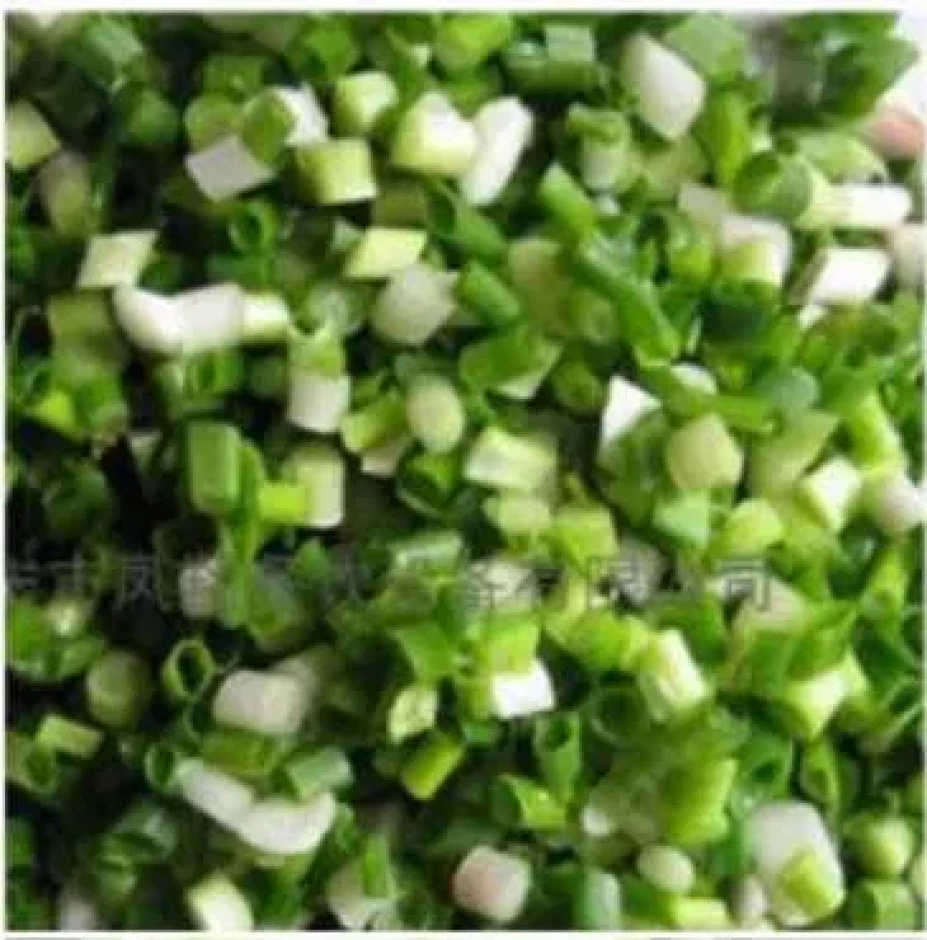 Оборудование для переработки фруктов и овощей #6