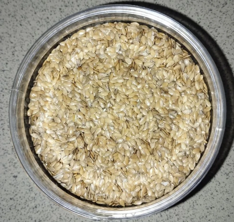 Golden flax. #1