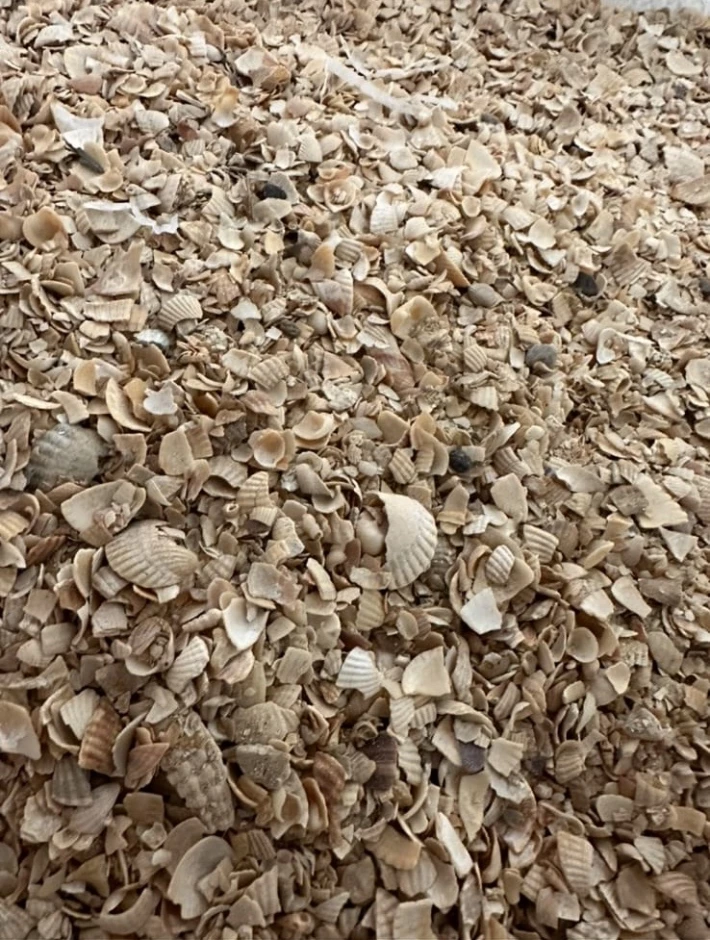 Птичий Двор - 4 Птичий Двор #4