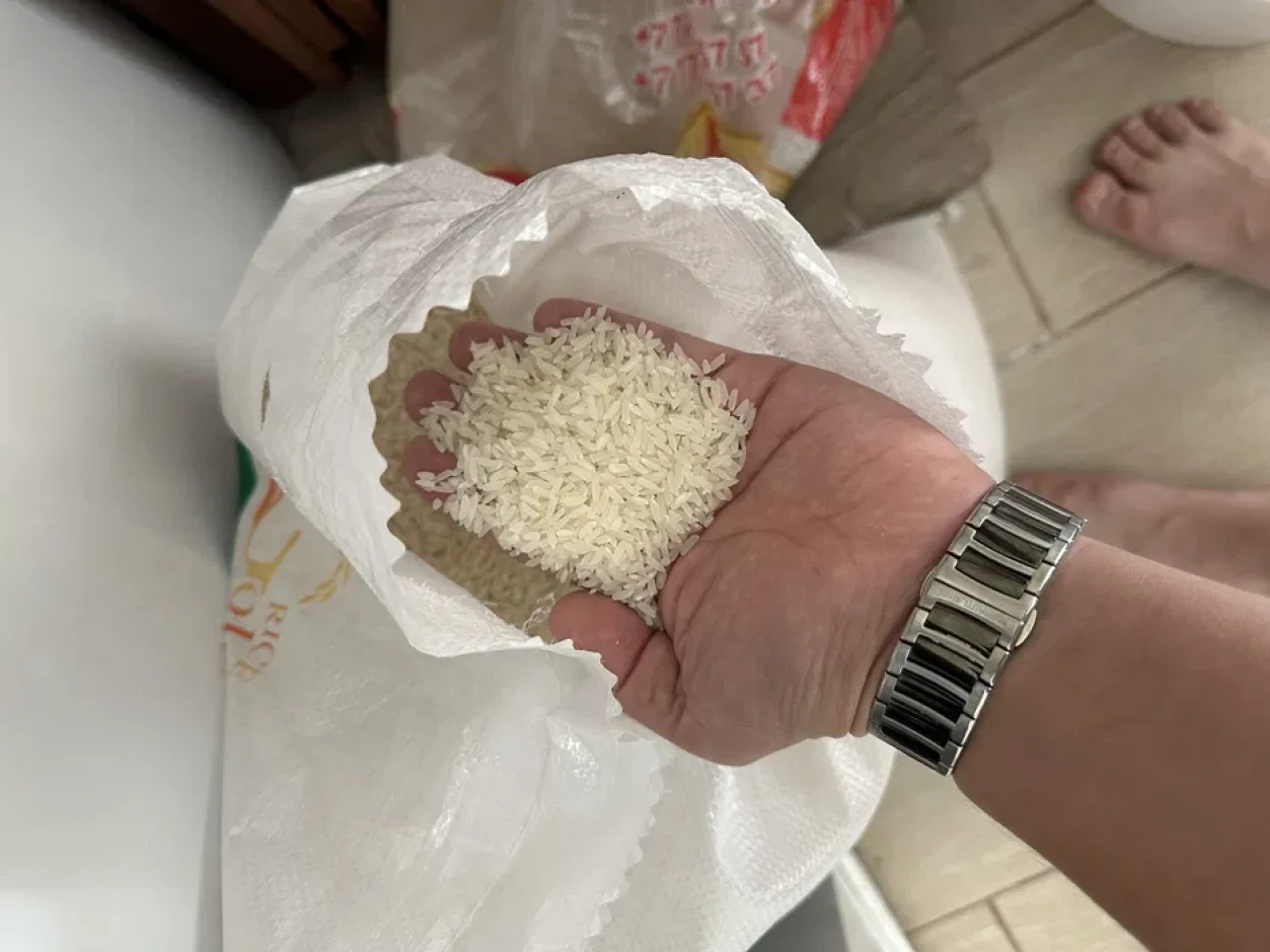 Rice rice variety Laser. #3