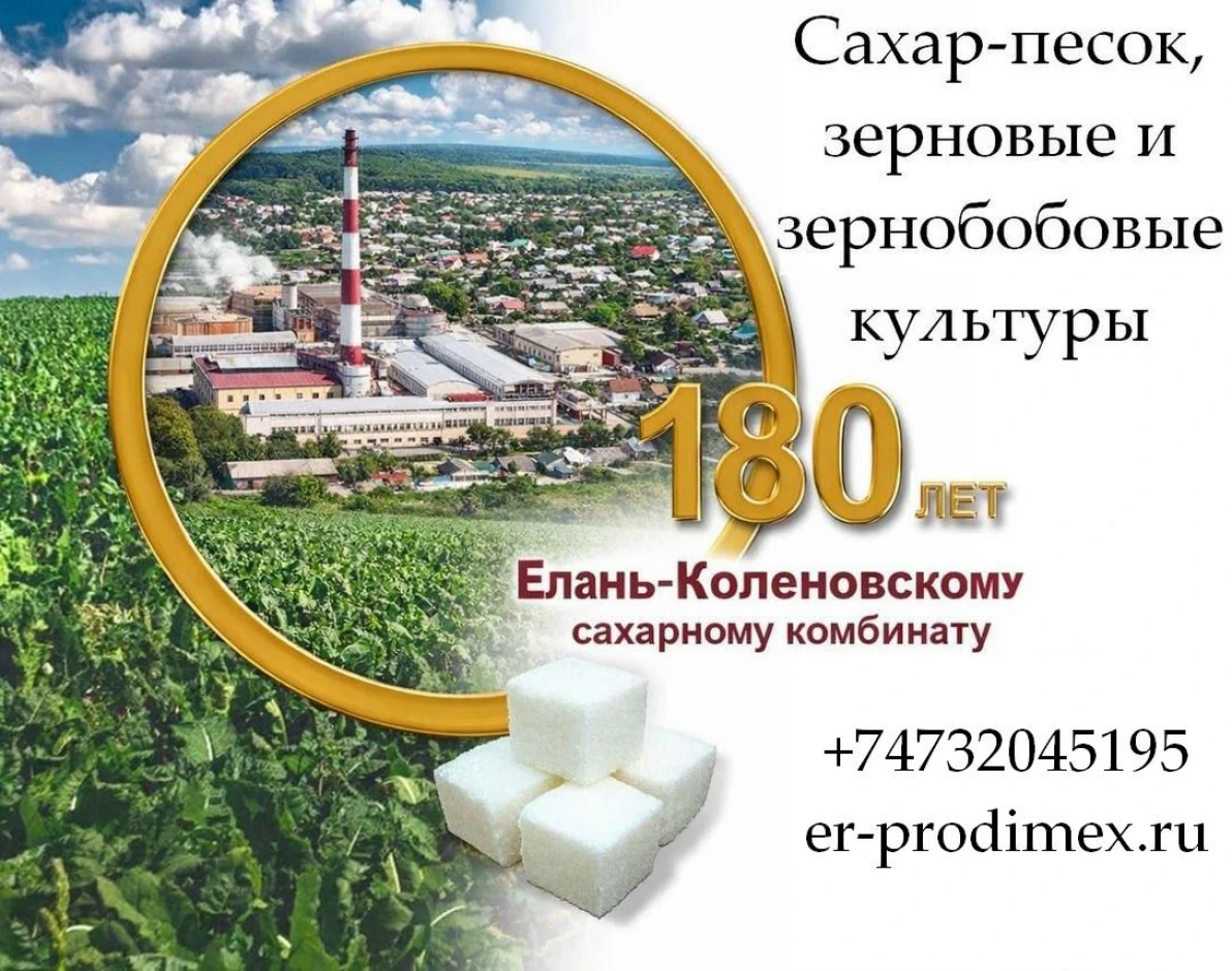 Granulated sugar, cereals and leguminous crops from Yelan-Kolenovsky NW. #1