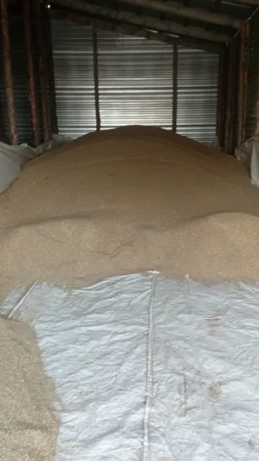 Grain waste: wheat, buckwheat. #4