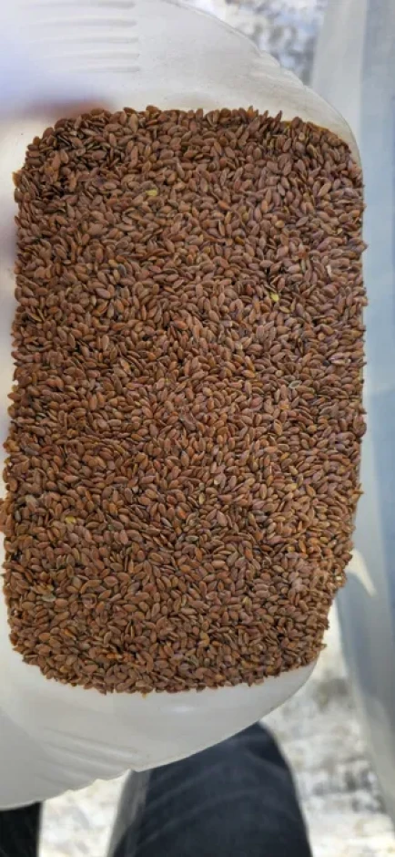 I will sell brown linen 99% purity. #2