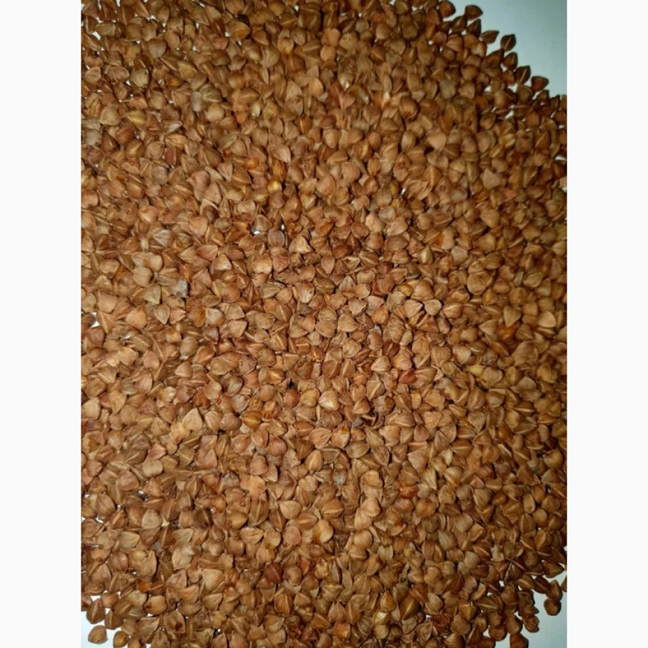 Продам Гречку, Павлодар - 1 Продам Гречку, Павлодар #1