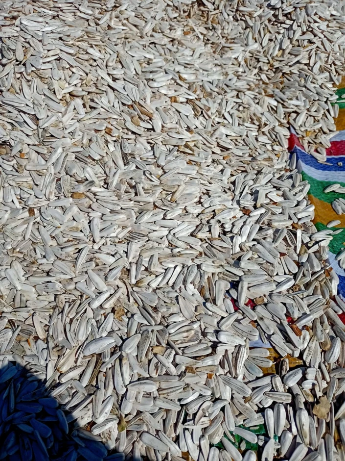 Sunflower seeds. #1