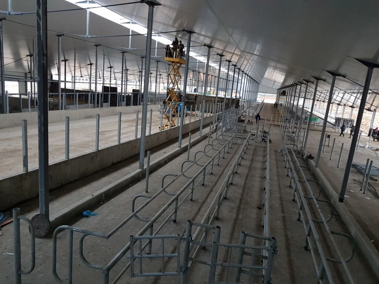Hangar, warehouse, grain collecting station, dairy farm, butter factory. #8