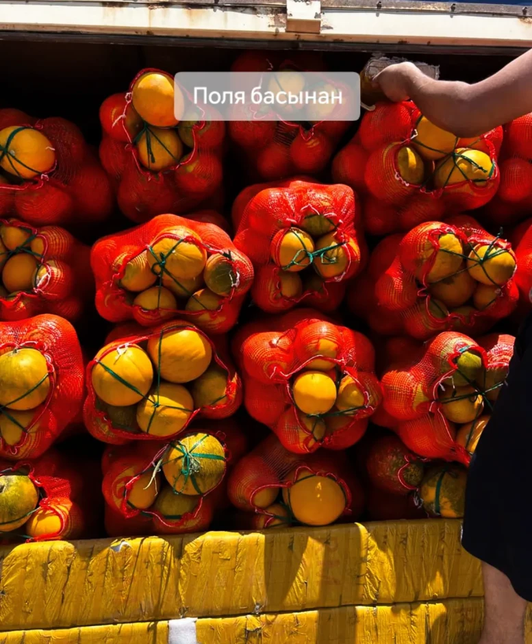 Melon Kolkhoz woman (bokinka). #3