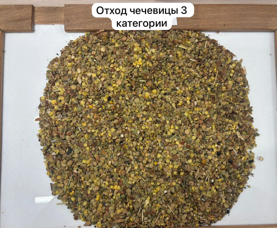 ПРОДАЕМ ОТХОДЫ ЧЕЧЕВИЦЫ И ГОРЧИЦЫ #1