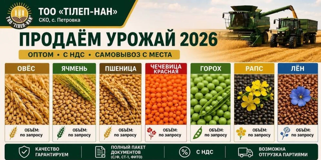 Продаем урожай 2026г овес, ячмень, пшеница, чечевица красная, горох, л #1