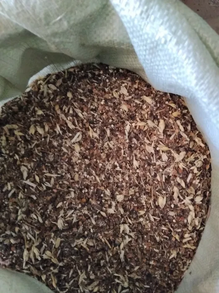 Grain waste: wheat, buckwheat. #6