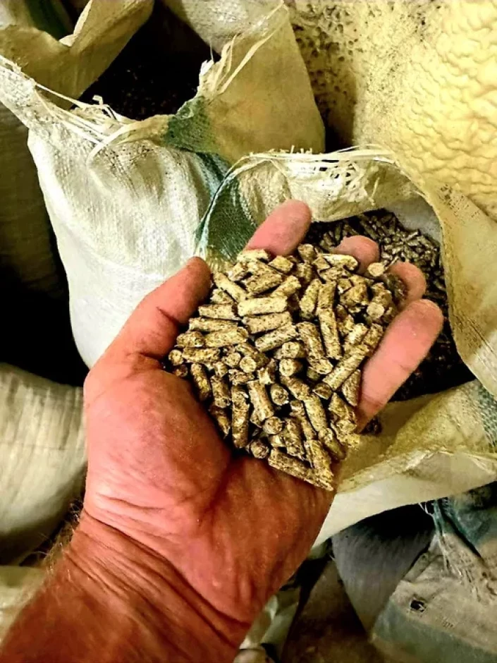 Compound feed #3