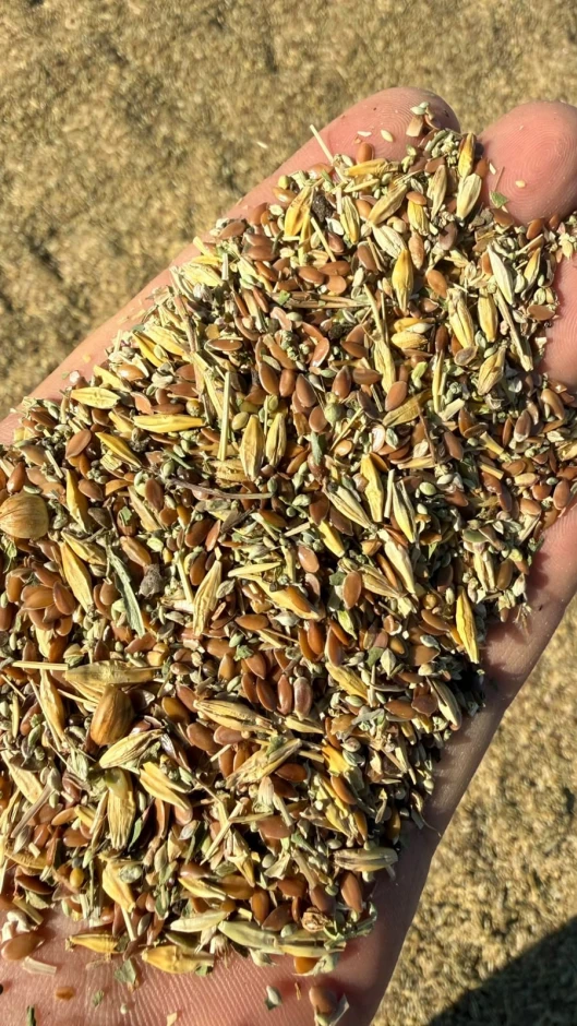 Grain waste. #1
