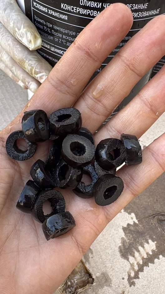 Olives from the producer. #4