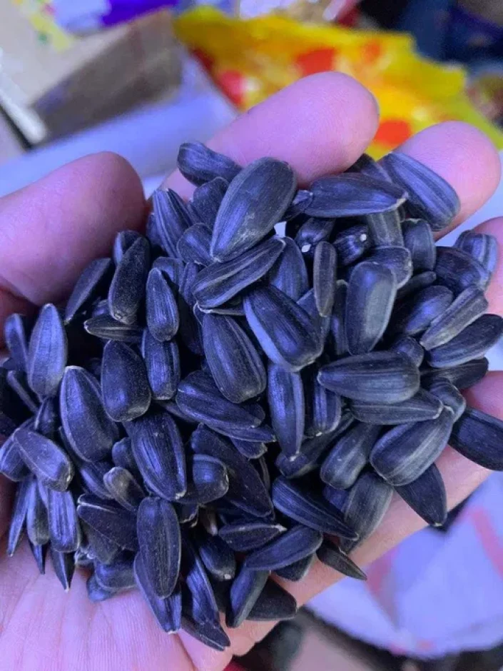 Sunflower seeds calibrated bags in bulk urgently. #2