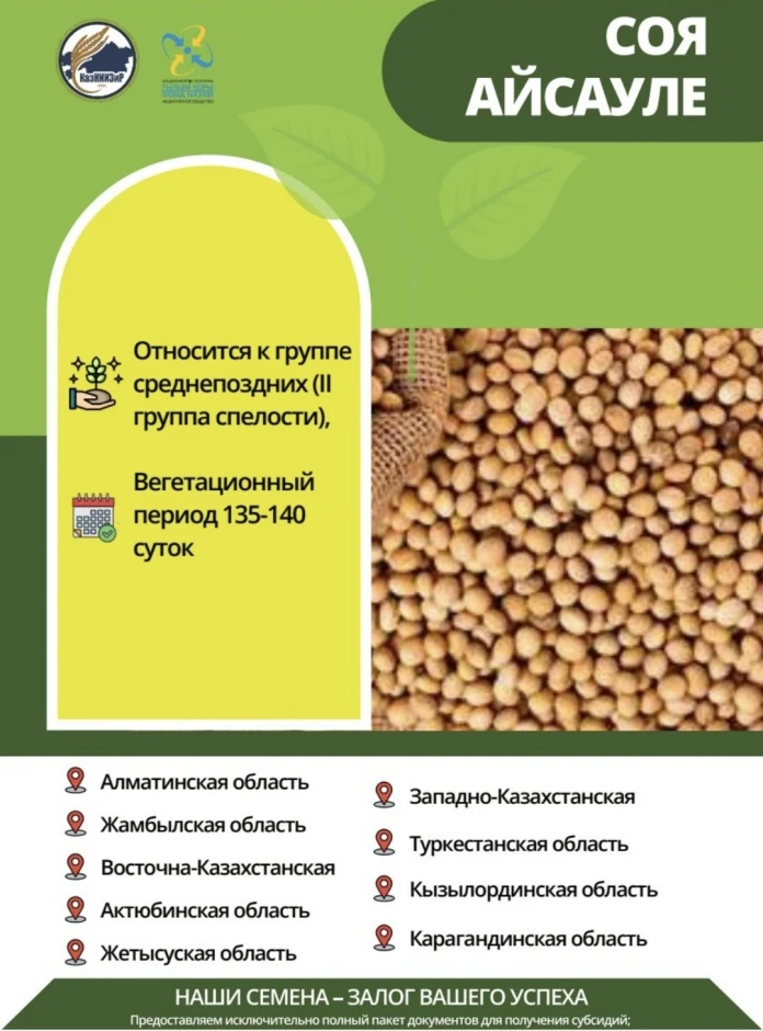 Семена сои сорта: Жансая и Айсауле #5
