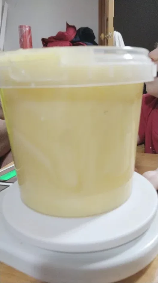 Продам мед подсолнечника #1