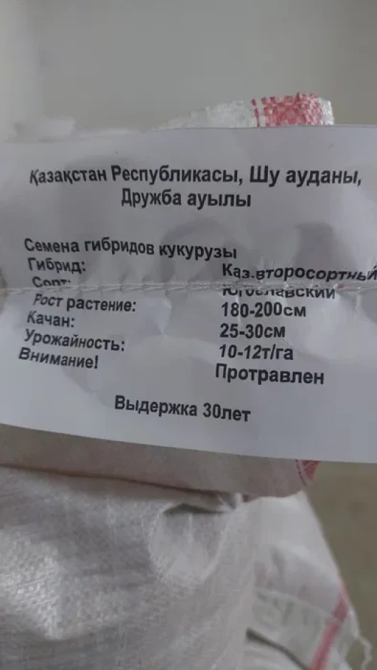 Продаются семена кукурузы #1