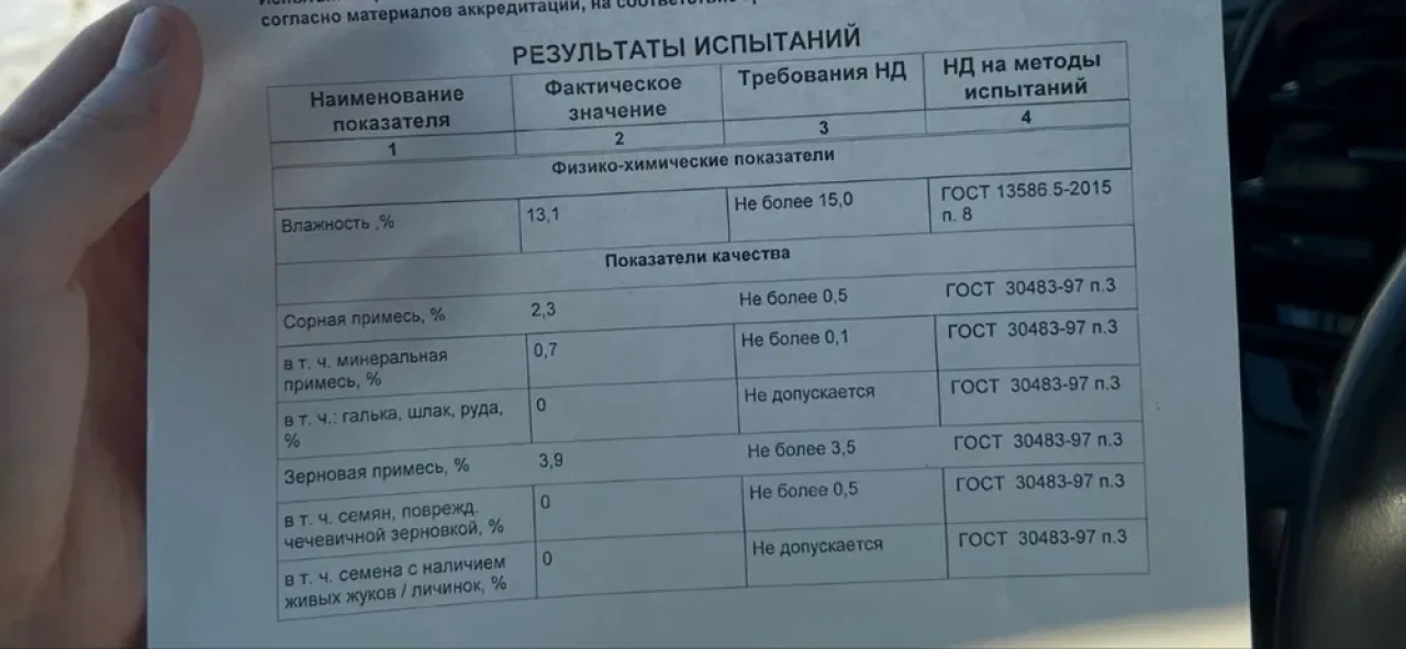 Чечевица зеленая тарелочная - 1 Чечевица зеленая тарелочная #1