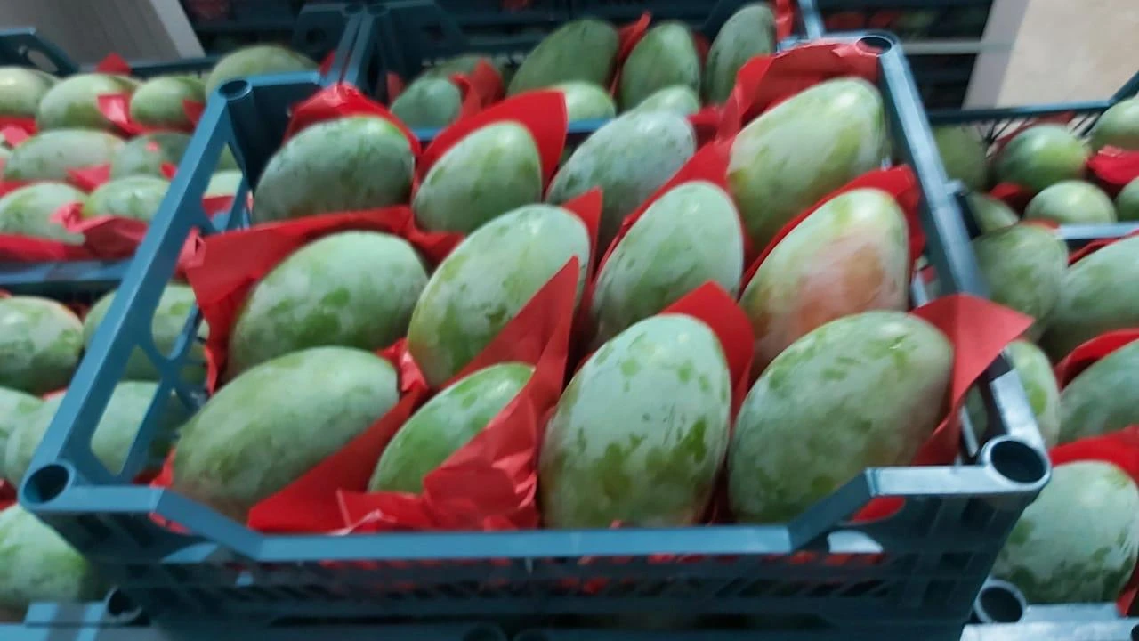 Mango from the manufacturer. #2