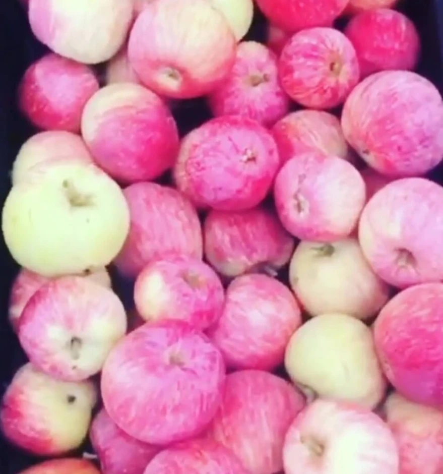 Apples in bulk. #2